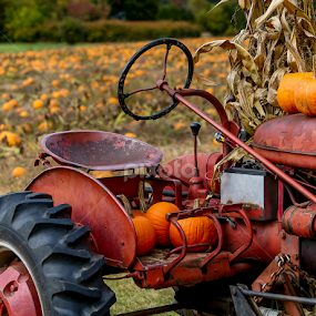 Old Tractor by Nancy Merolle - Transportation Other