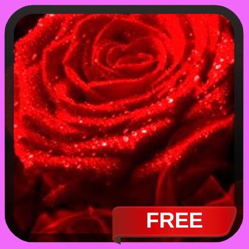 Red Rose Fire Live Wallpaper 個人化 App LOGO-APP開箱王