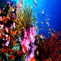 3D sea bottom logo