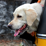 Let me try this ! by Anoop Namboothiri -  