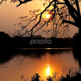 reflation  by Anit Adhikary - Landscapes Sunsets & Sunrises