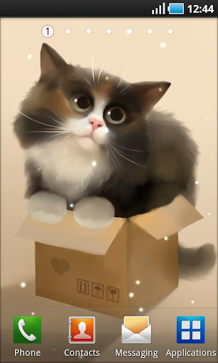 Cat in the Box