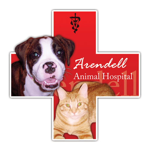 Arendell Animal Hospital 醫療 App LOGO-APP開箱王