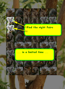 How to mod Free Fun Koala Game for Kids 1 unlimited apk for bluestacks