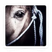 Aviary Effects: Saga Pro