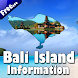 Bali Island Information