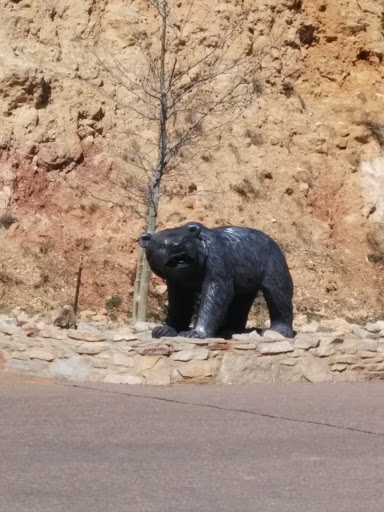 Cave Of The Winds Bear