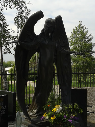 Angel on Batowice Graveyard