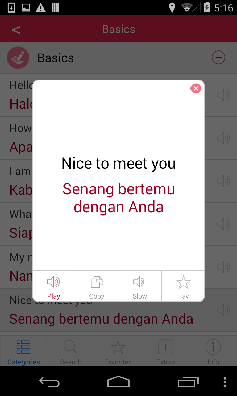 Indonesian Audio Dictionary Screen 3