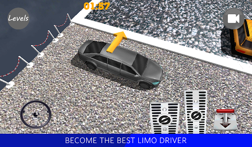 Limo Driver 3D 2015