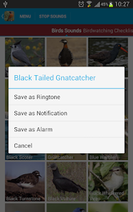 North American Birds Sounds Screenshots 22