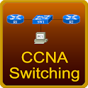 ccna switching icon