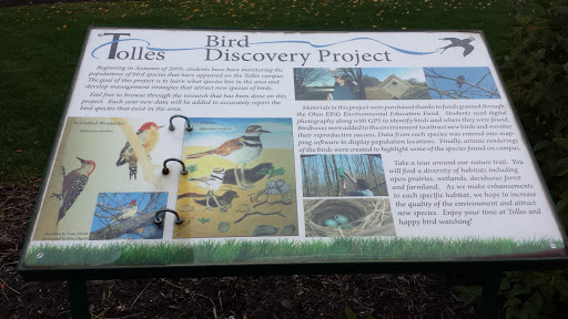 Bird Discovery Project 
