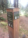 Spruce - Connecter Trails Trailmarker