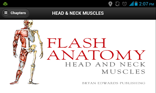 Flash Anatomy Head Neck Muscle