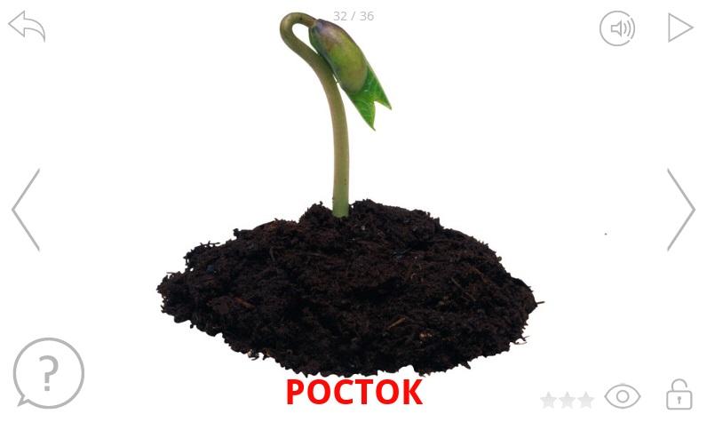 Альбом Дача. Обучающая игра. Screen 3