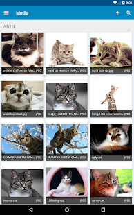 WordPress - screenshot thumbnail