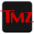 TMZ2.3.1