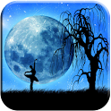Beautiful Moon Night