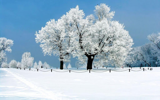 snow HD wallpaper