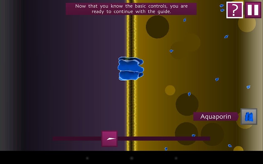 Biology Bytes - Transporters Screen 3