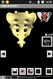 和鍼灸院式骨学R 2D poster 9