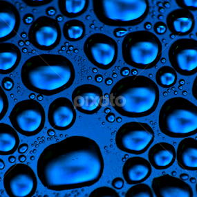dreamy blue drops by Nina Kriznic - Abstract Macro