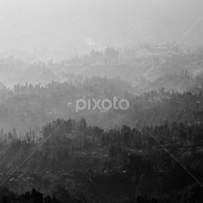 misty  by Tri Kurniawan - Landscapes Mountains & Hills