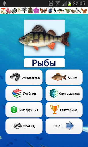 EcoGuide: Russian Fish