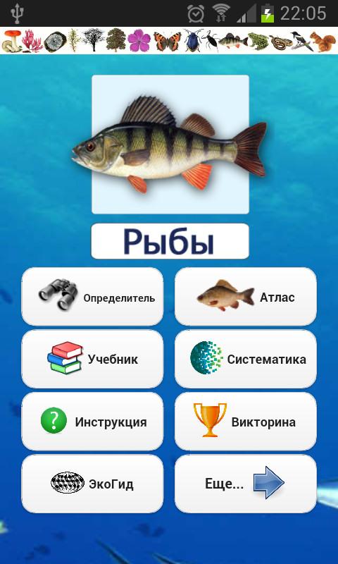 Android application EcoGuide: Russian Fish screenshort