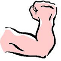 Muscle mass body fat logo