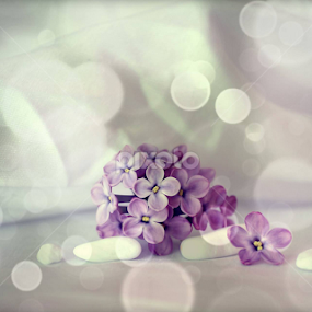 by Neli Dan - Abstract Light Painting