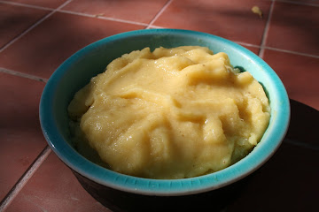 Tropical Sorbet