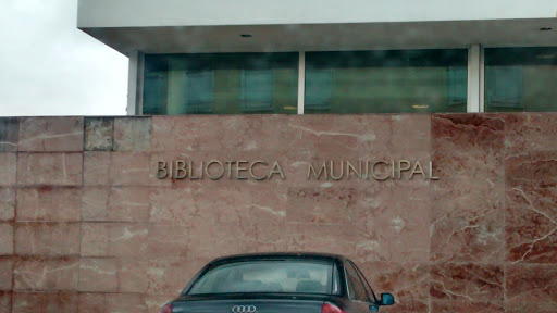 Biblioteca Municipal De Vale De Cambra