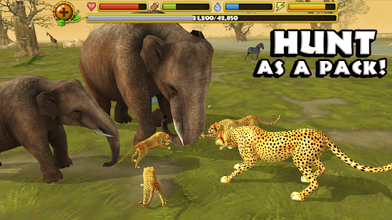 Inspiration Wallpaper cheetah racing games Top - Electricpress