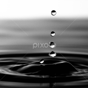 Stil LIfe by Jabrik Cobey - Novices Only Objects & Still Life