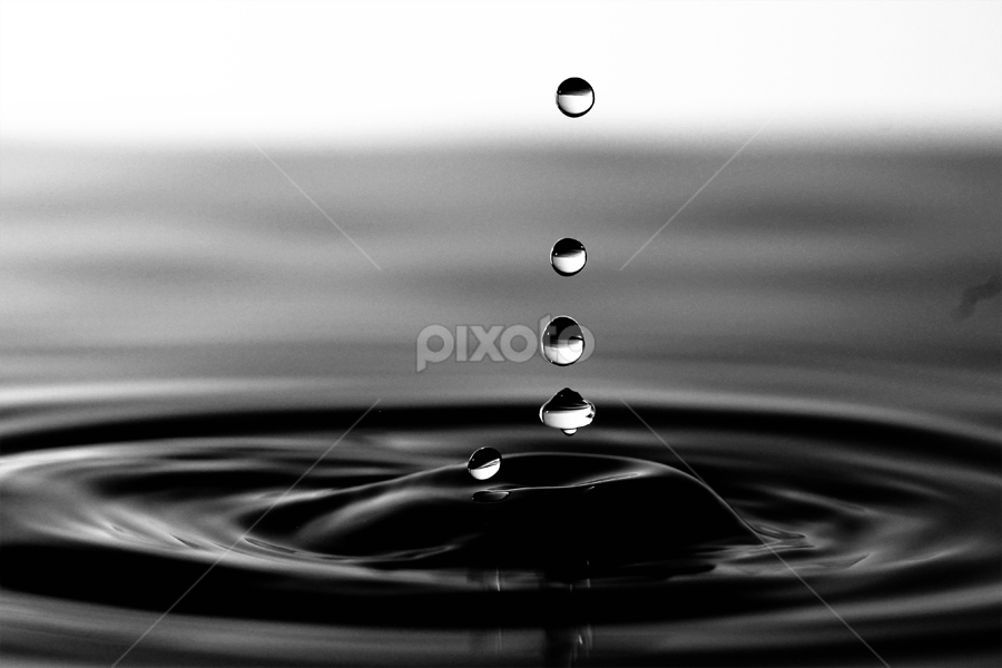 Stil LIfe by Jabrik Cobey - Novices Only Objects & Still Life