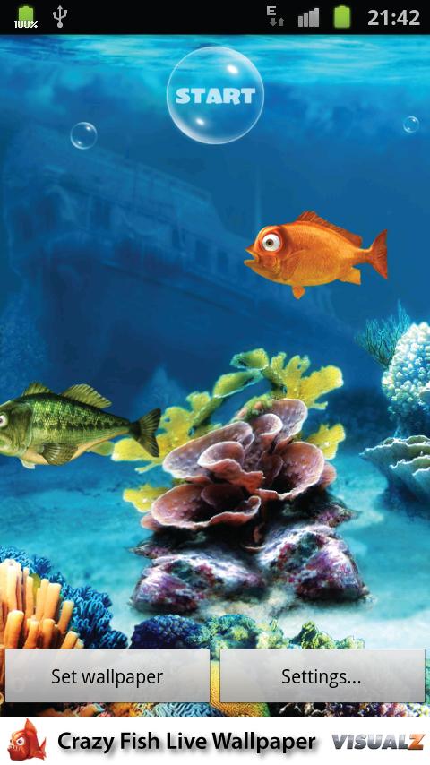 Crazy Fish Live Wallpaper Screen 2