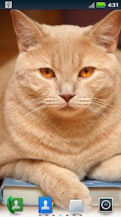 How to mod Studious Pets Live Wallpaper 3.6.0.0 mod apk for android