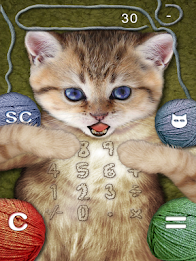 Kitten Calculator poster 11