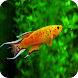 Aquarium Live Wallpaper icon