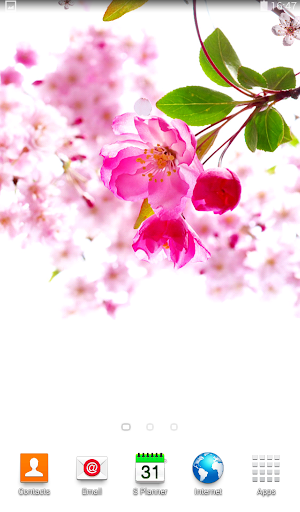 Sakura Live Wallpaper