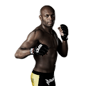 Anderson Silva widgets logo