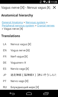 IMAIOS e-Anatomy