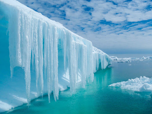 See the otherwordly cool blue ice of Antarctica during a G Adventures expedition aboard the Expedition. 