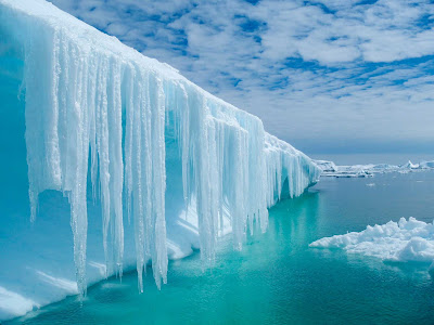 See the otherwordly cool blue ice of Antarctica during a G Adventures expedition aboard the Expedition. 