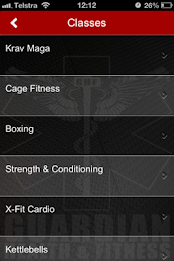 Guardian Defence poster 9