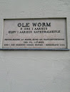 Ole Worm Memorial 