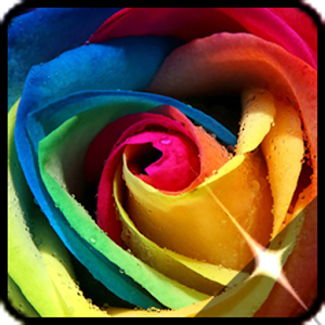 Roses flower Wallpapers 1.1.5