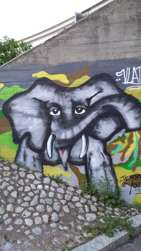 Norsu Graffiti